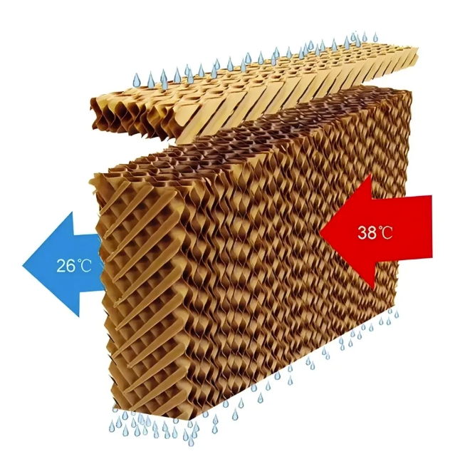 5.png 5.png